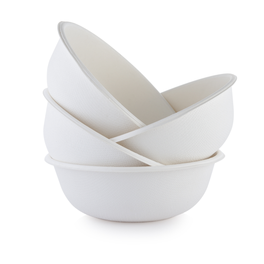 Bagasse Bowl